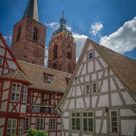 Steinhaeuser Hof Neustadt an der Weinstrasse Ngoại thất bức ảnh