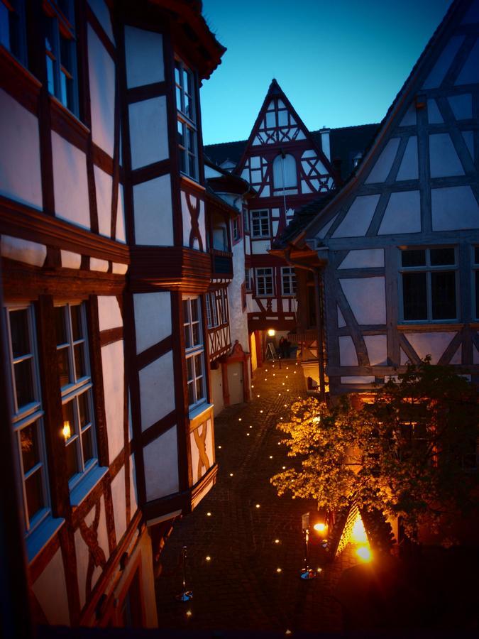 Steinhaeuser Hof Neustadt an der Weinstrasse Ngoại thất bức ảnh