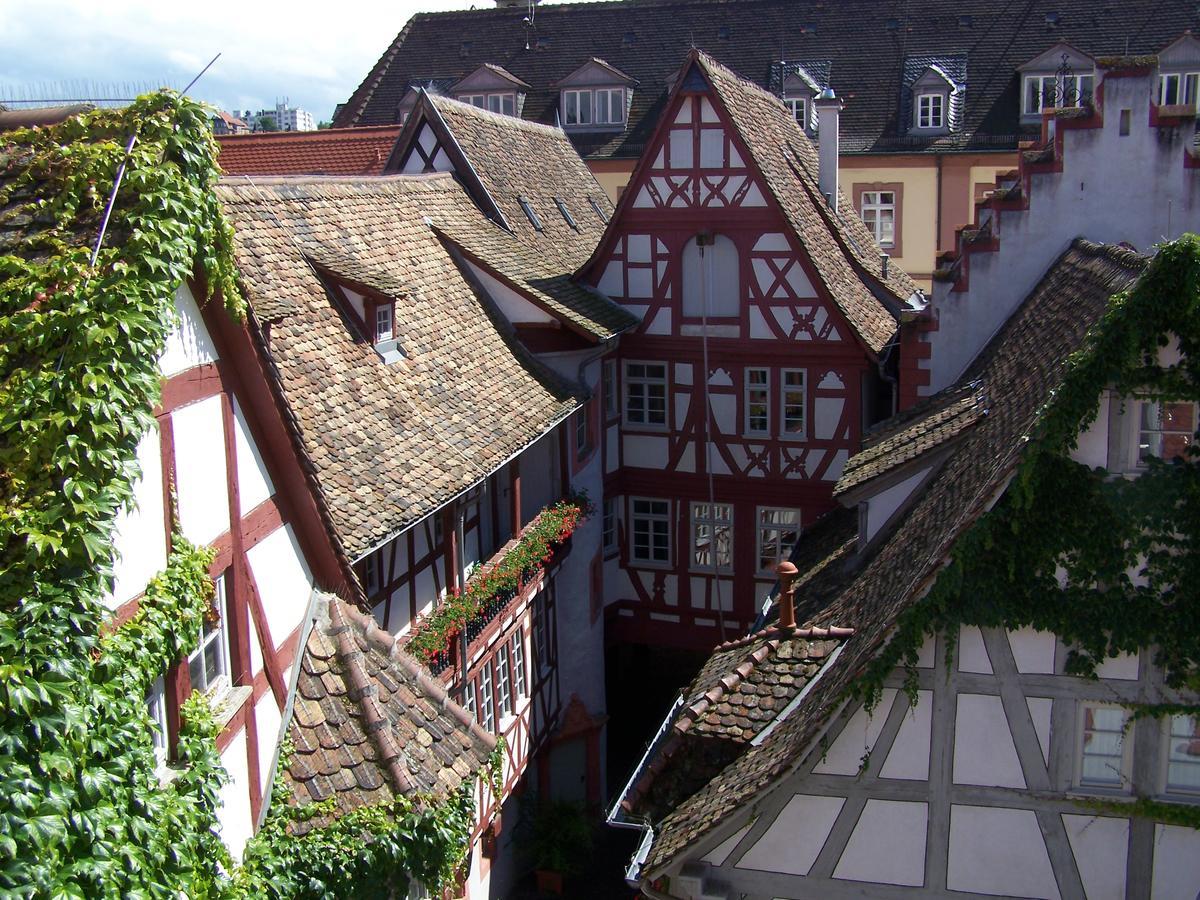 Steinhaeuser Hof Neustadt an der Weinstrasse Ngoại thất bức ảnh