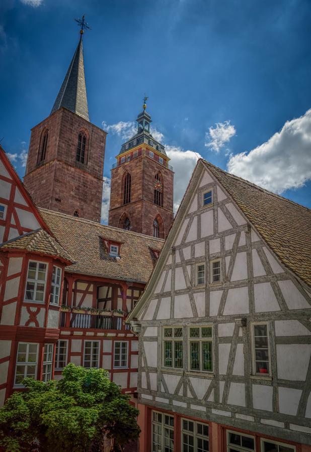 Steinhaeuser Hof Neustadt an der Weinstrasse Ngoại thất bức ảnh