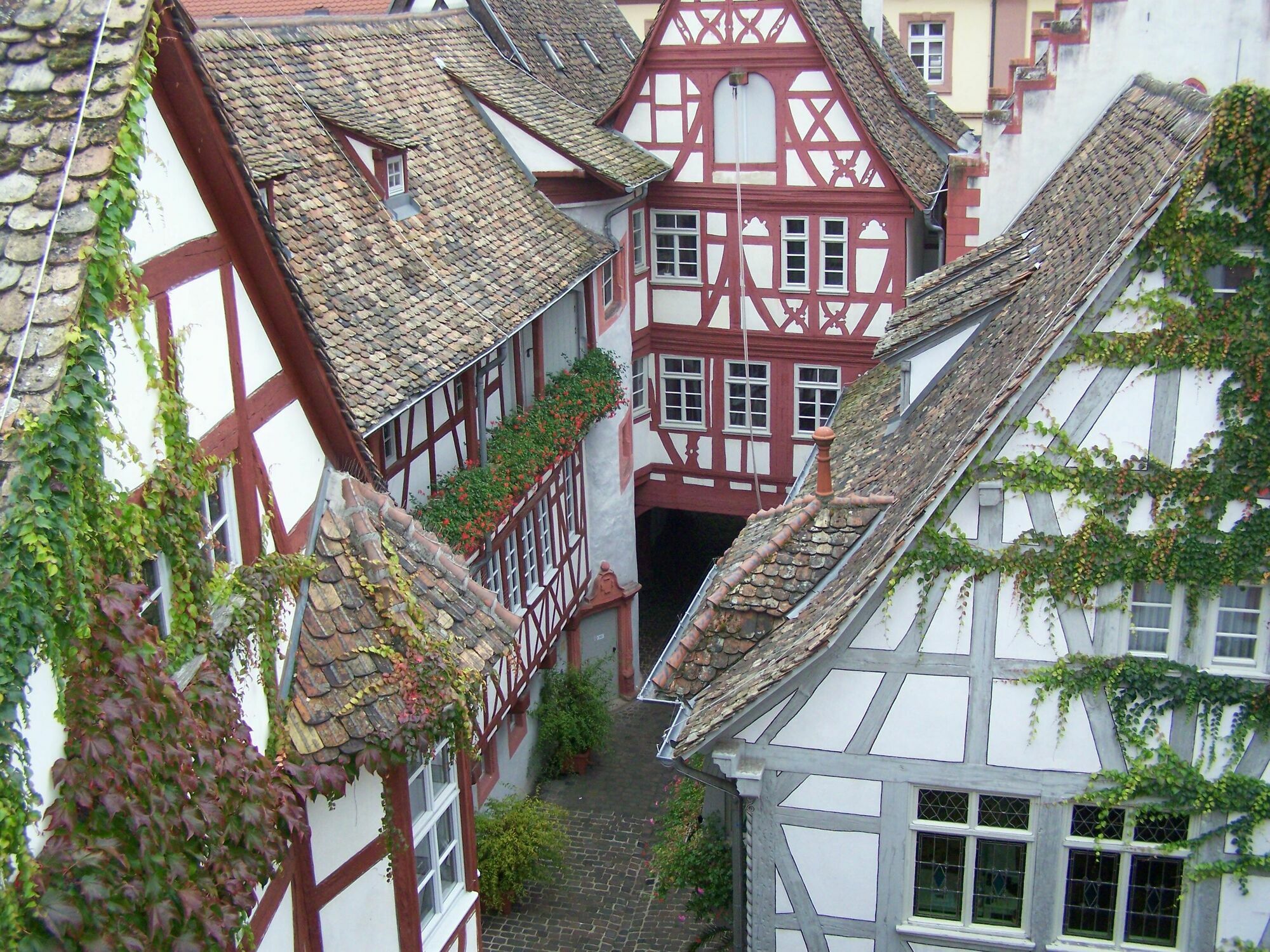 Steinhaeuser Hof Neustadt an der Weinstrasse Ngoại thất bức ảnh